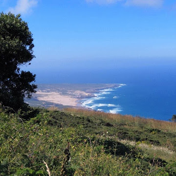 Profile photo of Dr. Abdullah Ali Hussain